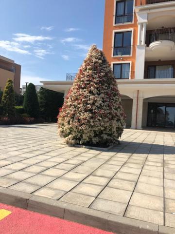 סבטי ולאס Apartment In Prestige Fort Beach מראה חיצוני תמונה
